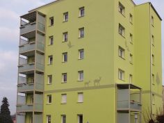 2-Raum-Wohnung mit Dusche und Balkon (402.1.3)