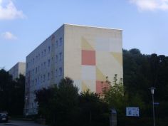 modernisierte 2-Raum-Wohnung mit Dusche und Balkon (2408.3.21)
